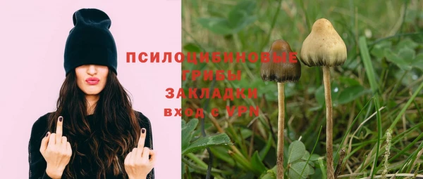 мяу мяу мука Осинники