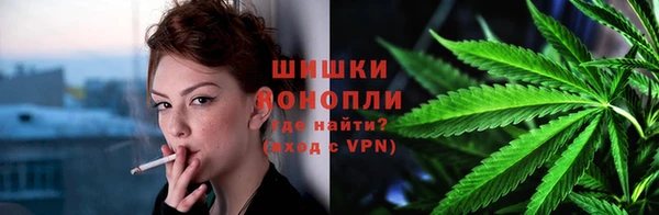 стаф Осташков
