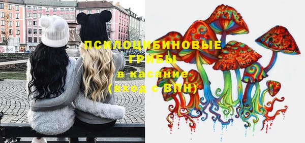 стаф Осташков