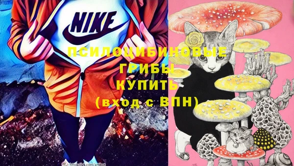 стаф Осташков