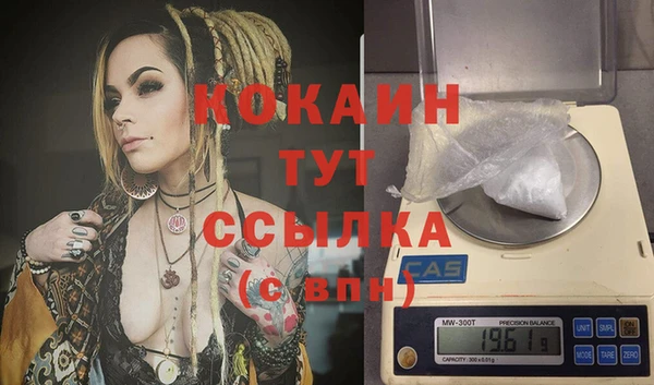 стаф Осташков
