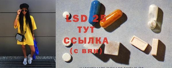 стаф Осташков