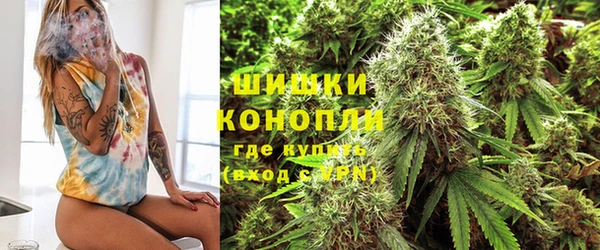 стаф Осташков