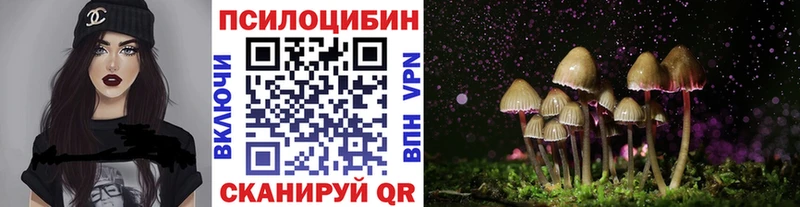 Псилоцибиновые грибы прущие грибы  Нахабино 